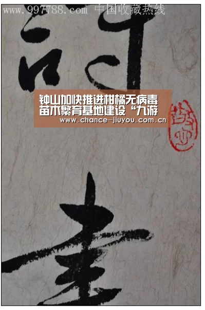 九游体育