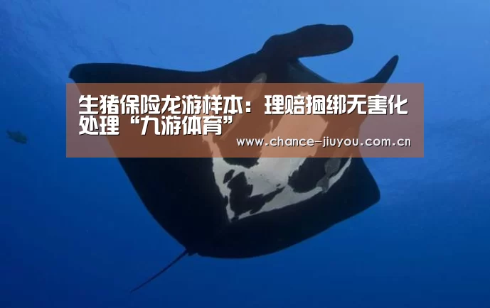 九游体育