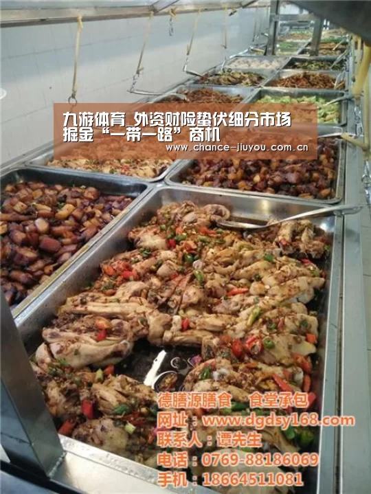 九游体育_外资财险蛰伏细分市场 掘金“一带一路”商机(图1) 九游体育