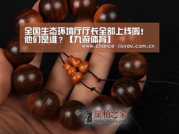 全国生态环境厅厅长全部上线啦!他们是谁?【九游体育】(图2) 九游体育