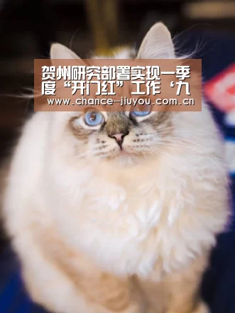 九游体育