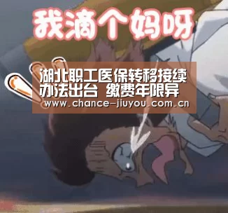 湖北职工医保转移接续办法出台 缴费年限异地互认-九游体育(图1) 九游体育