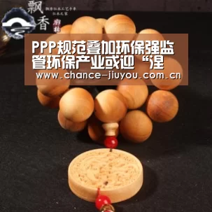 PPP规范叠加环保强监管环保产业或迎“涅槃”之变【九游体育】(图1) 九游体育