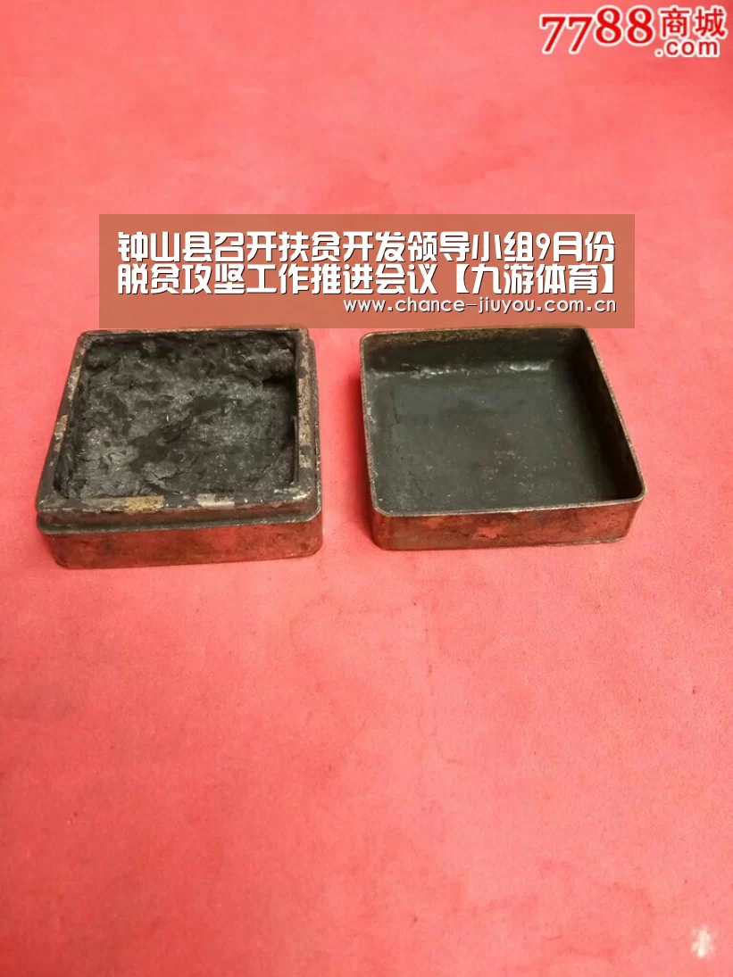 钟山县召开扶贫开发领导小组9月份脱贫攻坚工作推进会议【九游体育】(图2) 九游体育