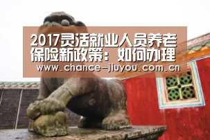 2017灵活就业人员养老保险新政策:如何办理、缴费比例及计算方法【九游体育】(图4) 九游体育