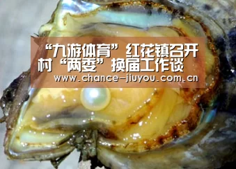 “九游体育”红花镇召开村“两委”换届工作谈心谈话会议(图1) 九游体育