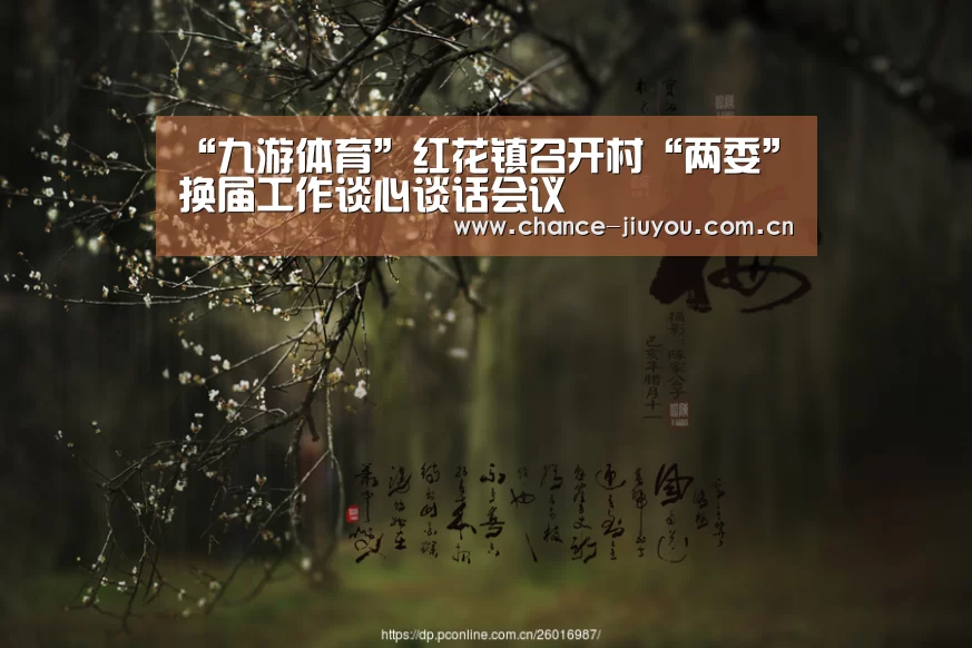 “九游体育”红花镇召开村“两委”换届工作谈心谈话会议(图2) 九游体育
