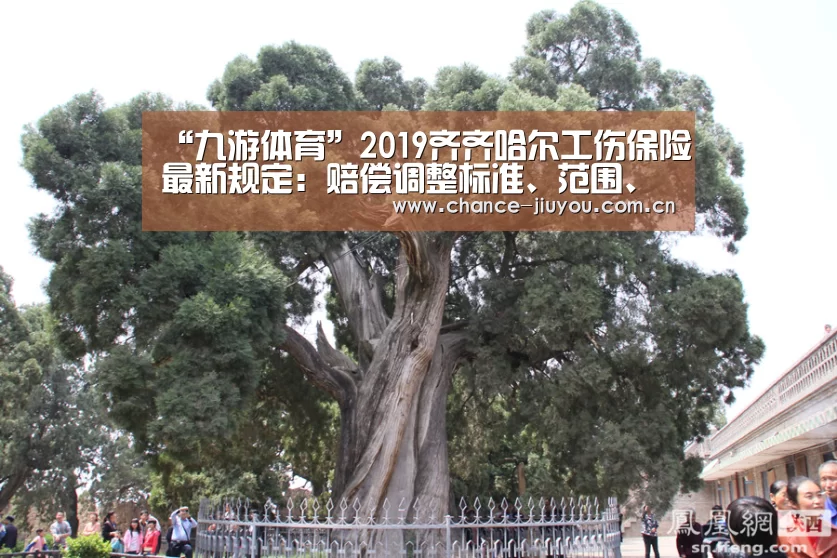 “九游体育”2019齐齐哈尔工伤保险最新规定:赔偿调整标准、范围、申请流程(图1) 九游体育