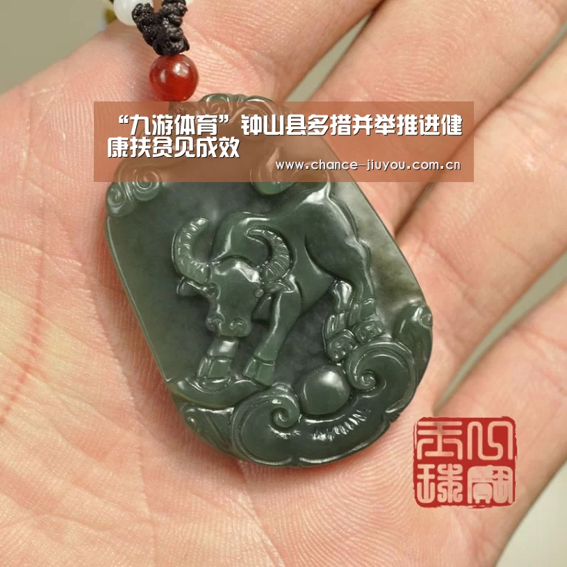 “九游体育”钟山县多措并举推进健康扶贫见成效(图3) 九游体育