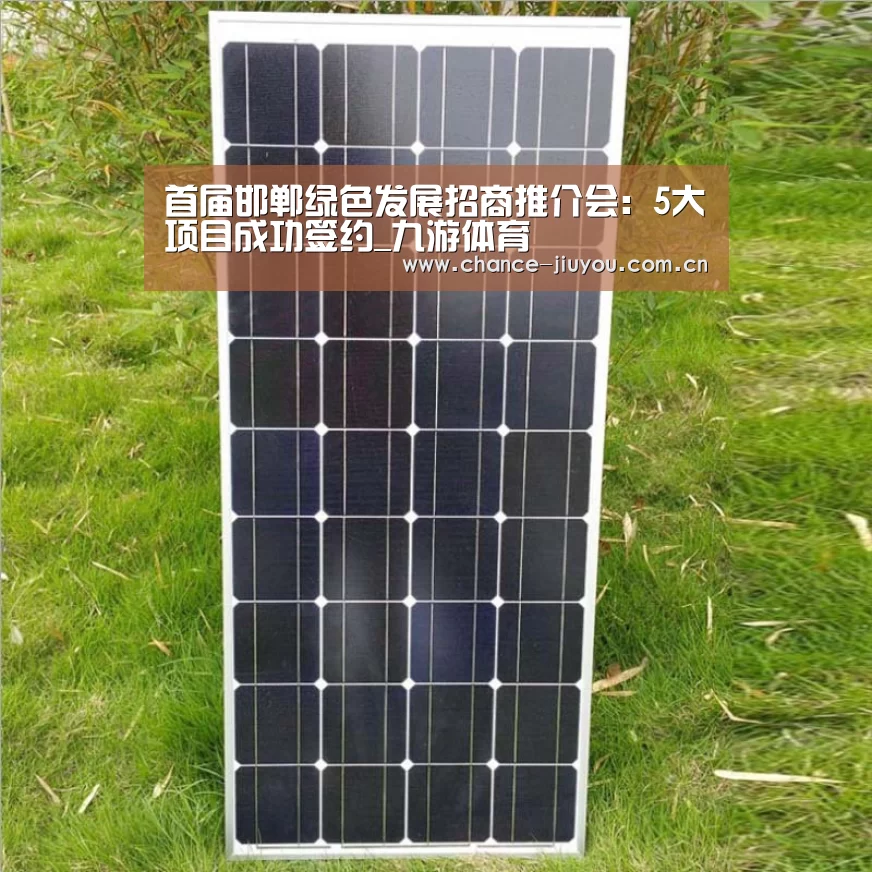 首届邯郸绿色发展招商推介会:5大项目成功签约_九游体育(图1) 九游体育