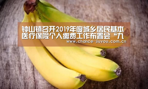 钟山镇召开2019年度城乡居民基本医疗保险个人缴费工作布置会“九游体育”(图3) 九游体育