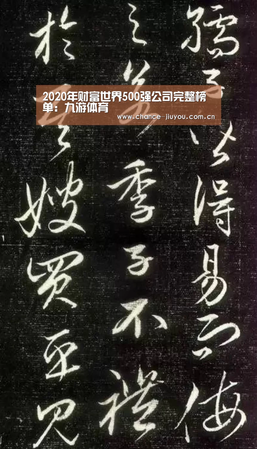 2020年财富世界500强公司完整榜单:九游体育(图2) 九游体育