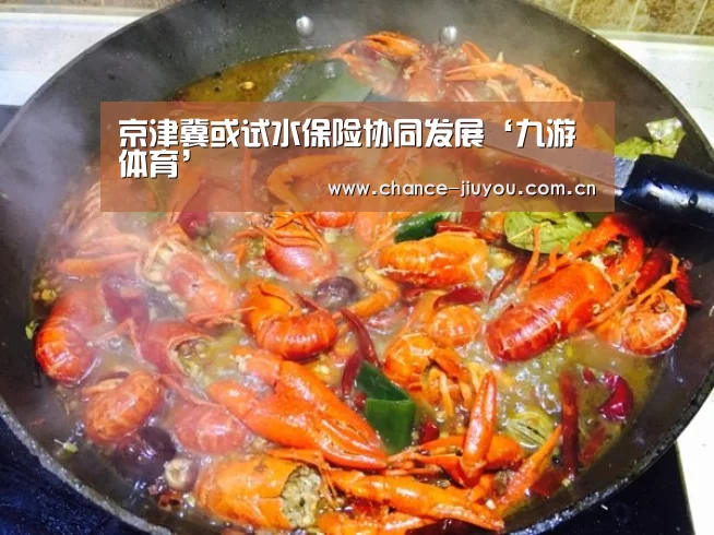 京津冀或试水保险协同发展‘九游体育’(图2) 九游体育