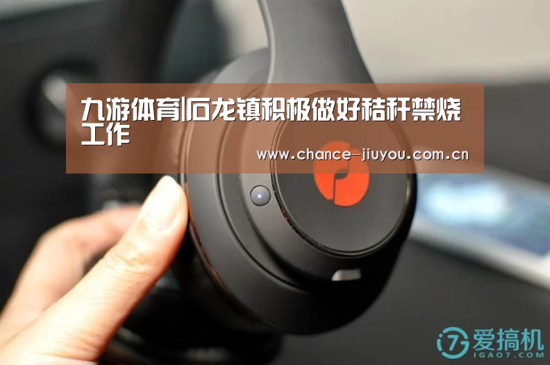 九游体育|石龙镇积极做好秸秆禁烧工作(图2) 九游体育